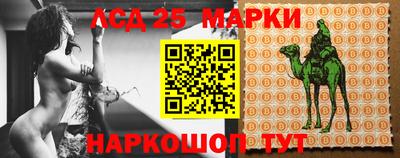 гидра Бердск