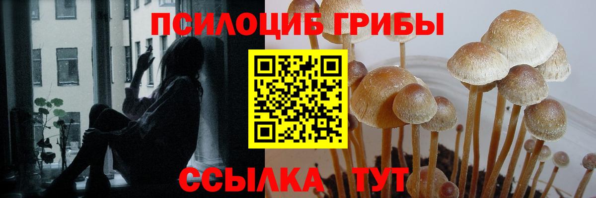 Галлюциногенные грибы Cubensis Канаш