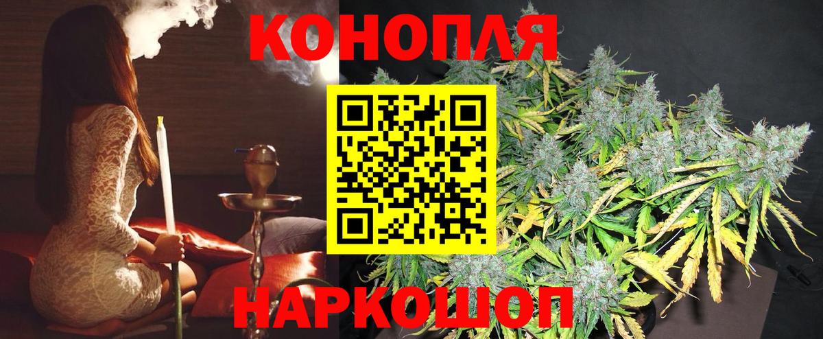 МАРИХУАНА сатива Канаш
